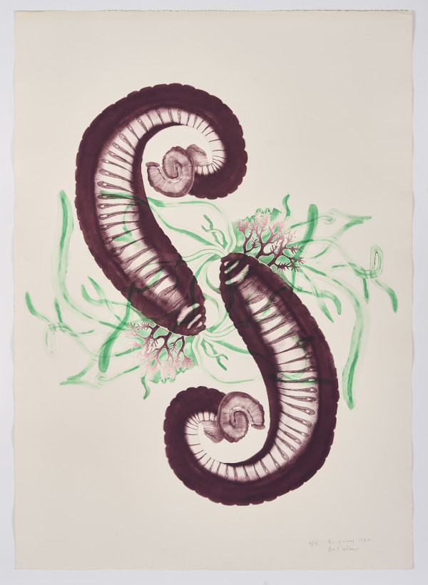 Ace of Worms (amphitrite) by April Vollmer