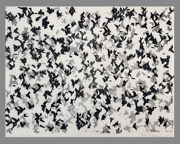Flight Plans (ed 5) by April Vollmer, Image 1.
