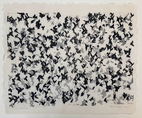 Flight Plans, ed 5 by April Vollmer