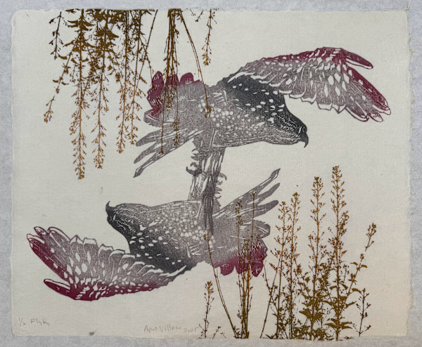 Flyby, ed 6 by April Vollmer