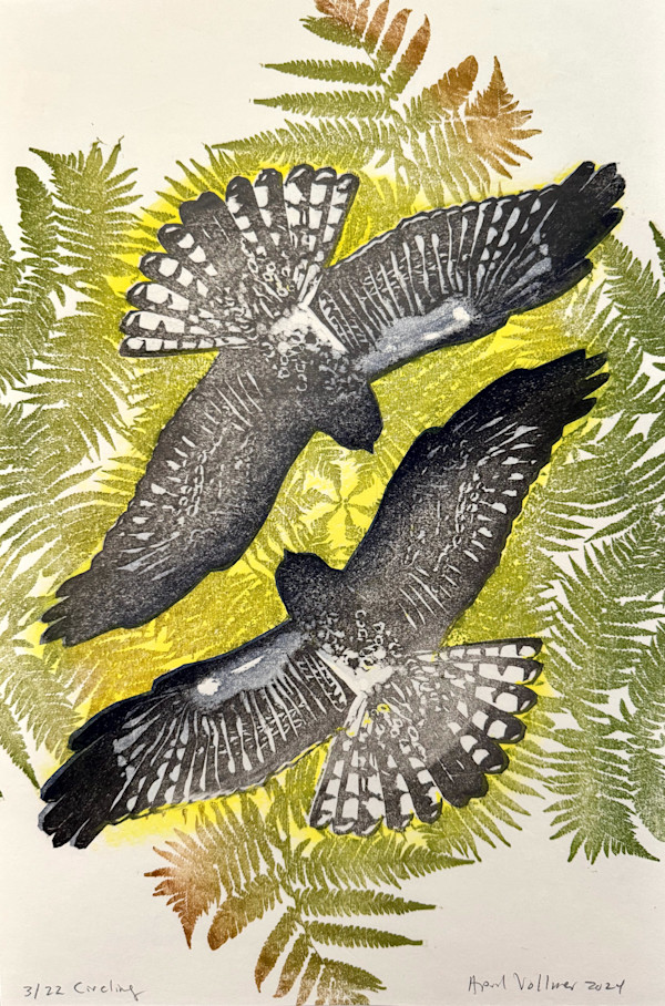The Flight of Birds: Circling (ed 22) by April Vollmer