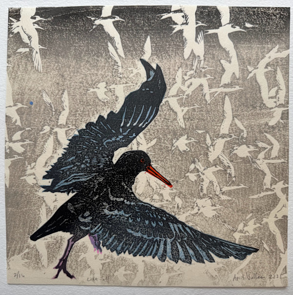 Lift-off (ed 16) by April Vollmer