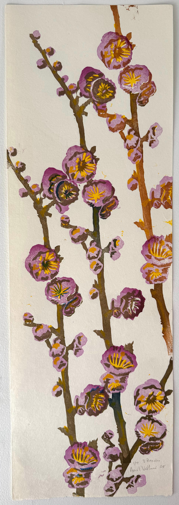 3 Peach Stems (flowering branches, white background) (ed 7) by April Vollmer