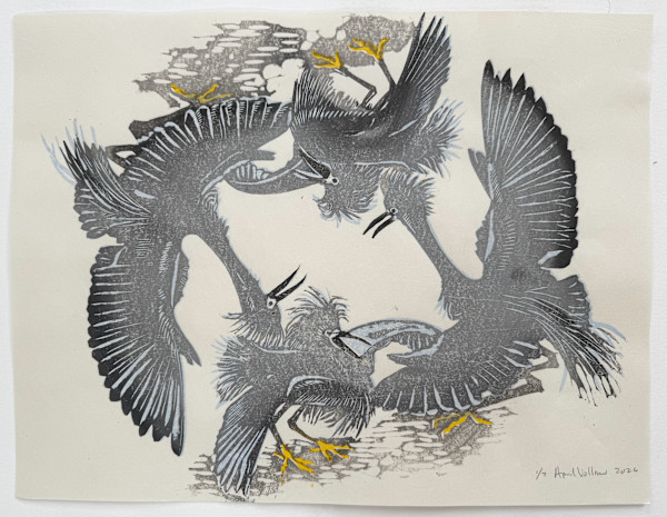Angry Egrets: Tumble (ed 7) by April Vollmer, Image 1.