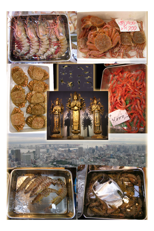 Tsukiji Fish Market Series: Crustaceans by April Vollmer