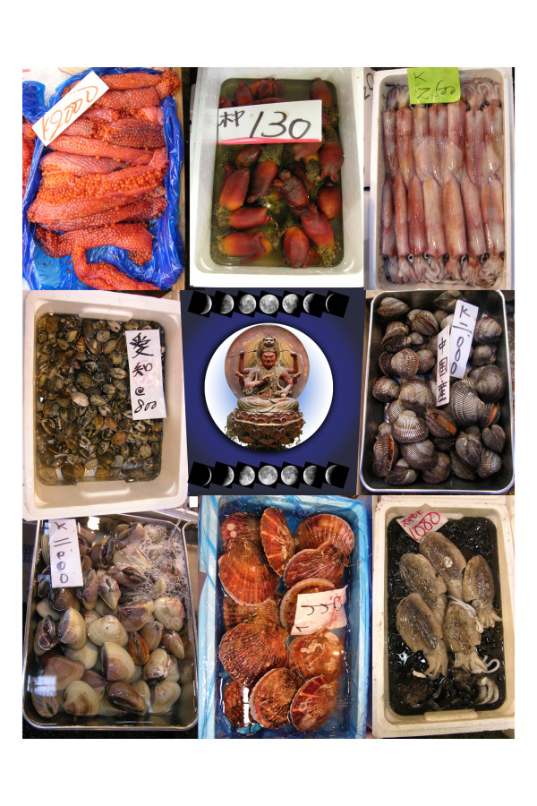 Tsukiji Fish Market Series: Wisdom by April Vollmer