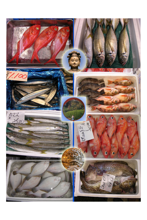 Tsukiji Fish Market Series: Japan Fish by April Vollmer