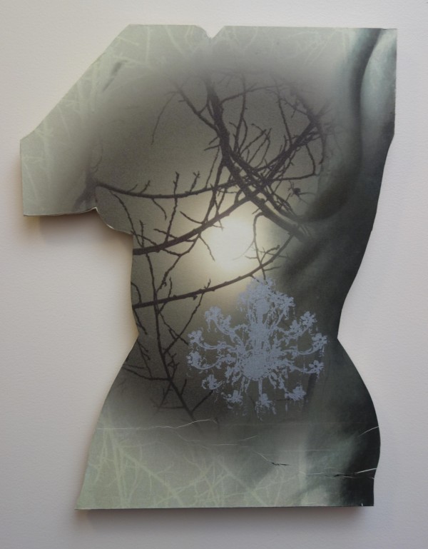 Torso Series: #6 Moonlight Torso on wood by April Vollmer, Image 1.
