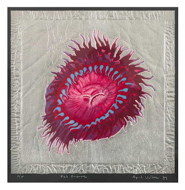 Red Anenome by April Vollmer