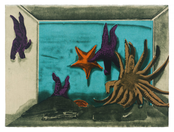 Sea Star Box by April Vollmer