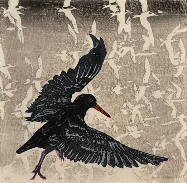 Lift-off (ed 16) by April Vollmer