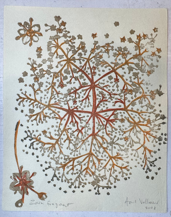 Zova Fragment by April Vollmer