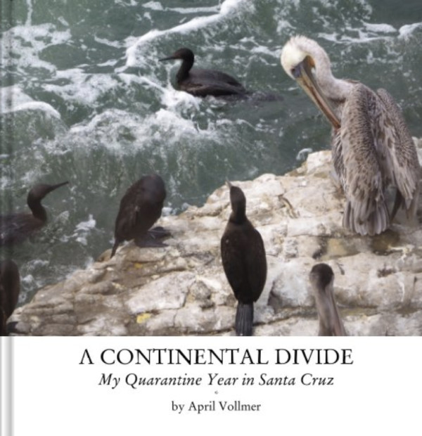 A Continental Divide - My Quarantine Year in Santa Cruz by April Vollmer