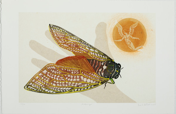 Messenger, Prime Number Cicada (ed 12) by April Vollmer