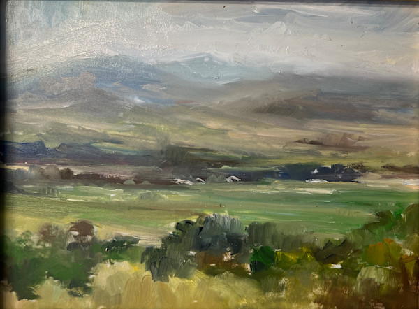 Field of Peace by BTA    Beki Tobiasson