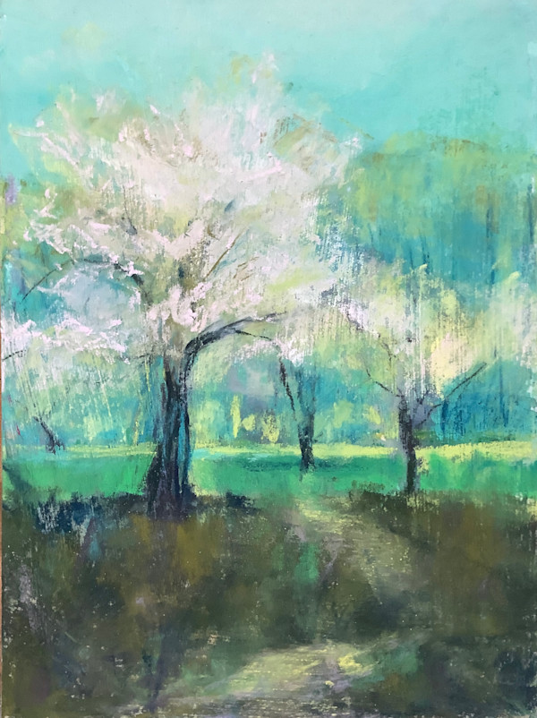 Apple Blossom by Sheree Arden