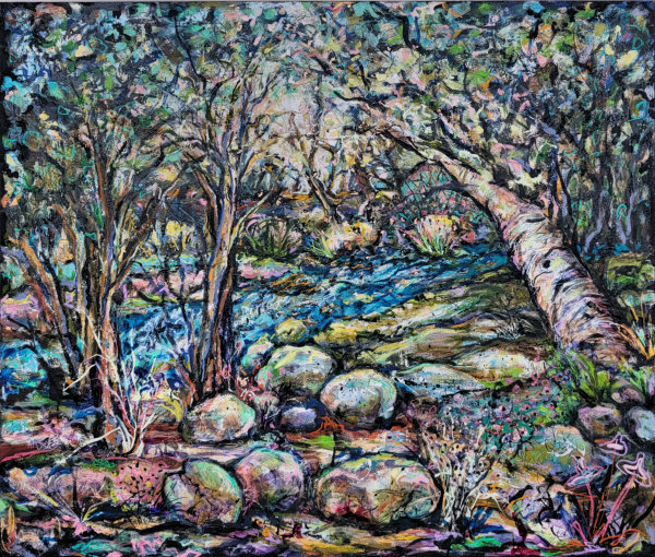 Purgatory Chasm Floor by Anita L Loomis