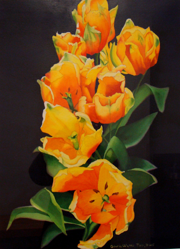 Tulips by Gloria Watts