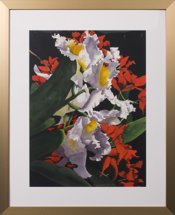 Orchids by Gloria Watts