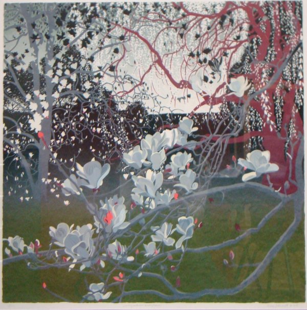 Magnolia & Rain by Carol Schwartz