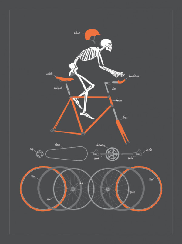 Bicycle Anatomy by Doug Harry