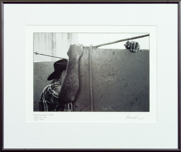 Rodeo, Havana, Cuba by Rolfe Ross