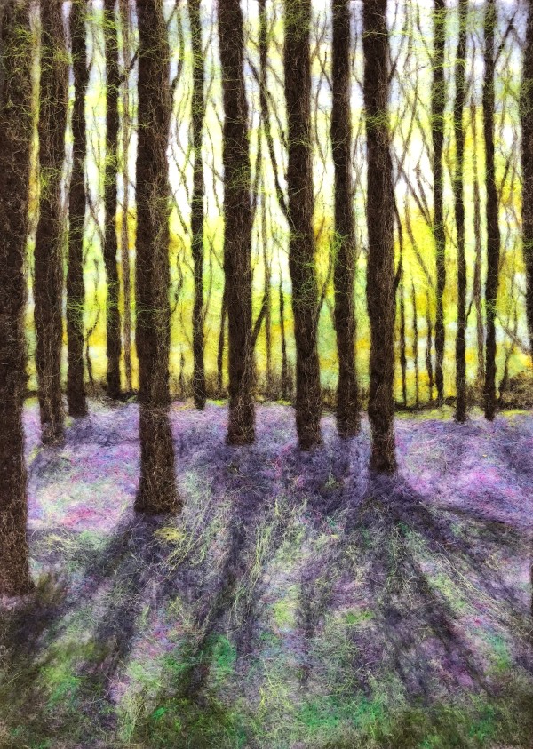 Bluebell Woods 6 by Ushma Sargeant Art