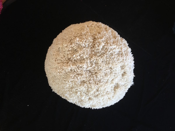 Giant White Pom Pom by Masako Takahashi