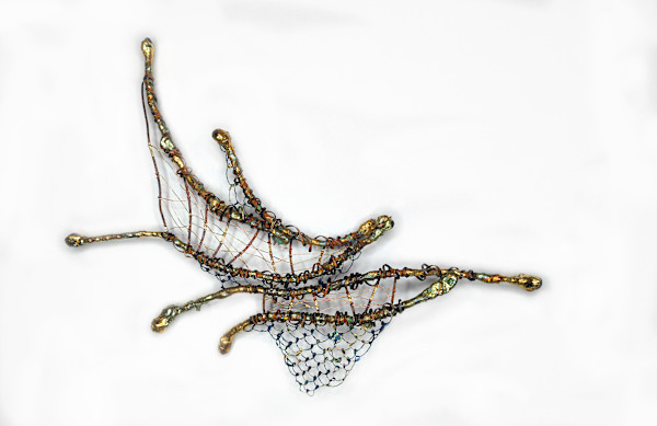 tideline traces by Alysn Midgelow-Marsden