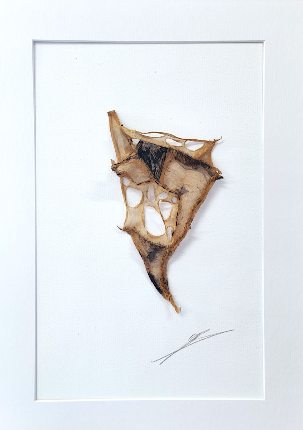 glimpses of things not seen xii by Alysn Midgelow-Marsden