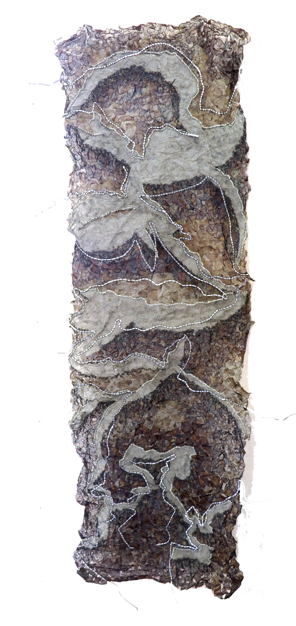 banksia variation i by Alysn Midgelow-Marsden