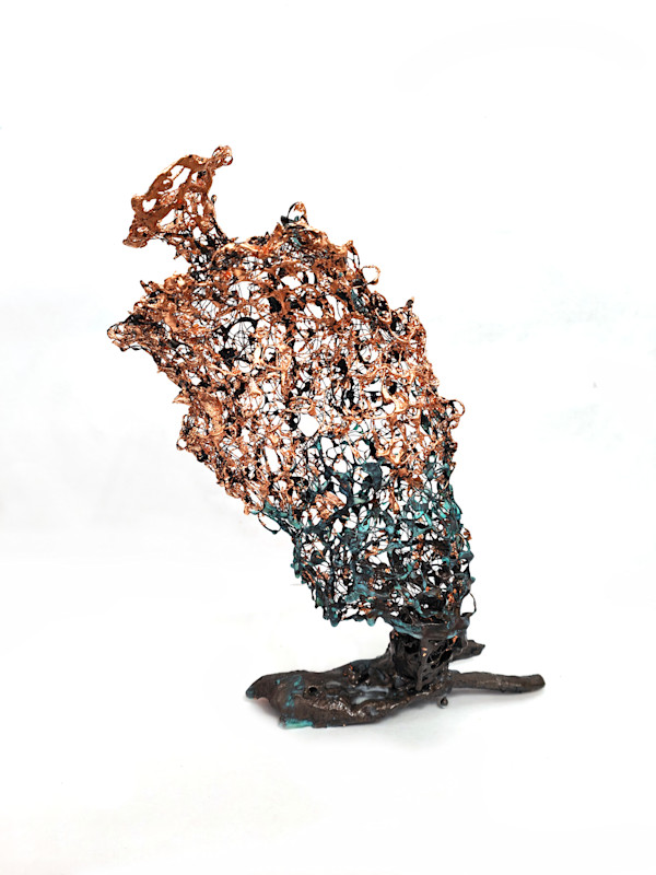 the certainty drained out by Alysn Midgelow-Marsden