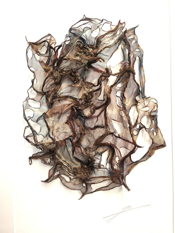things not yet understood by Alysn Midgelow-Marsden, Image 1.