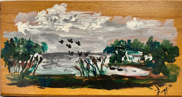 Ducks by Jim Walther