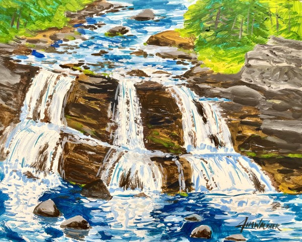 Black Water Falls,  WV by Jim Walther
