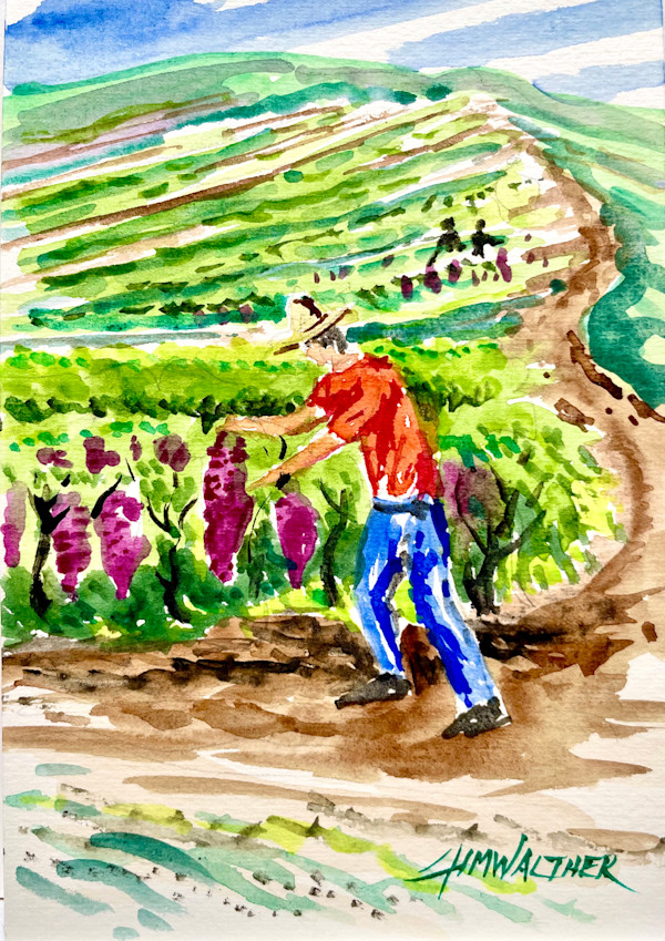 Harvesting the last Grapes by Jim Walther