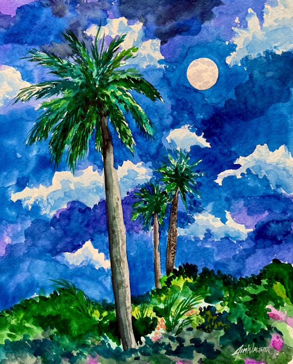 Plantation Night by Jim Walther