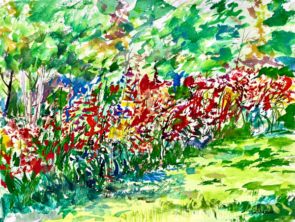 Madge's Backyard by Jim Walther