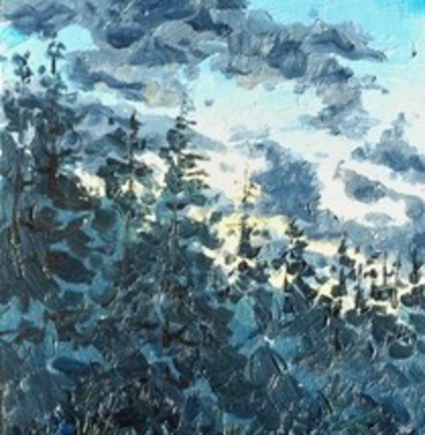 Sunset Pines by Jim Walther