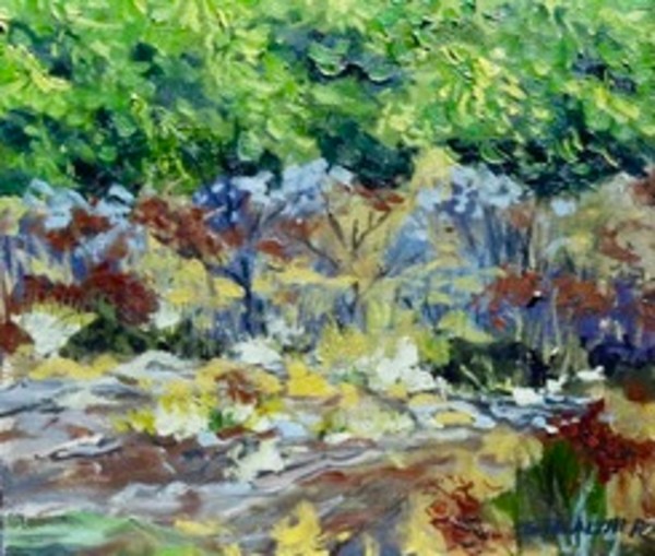 Tucker Co. Roadside by Jim Walther