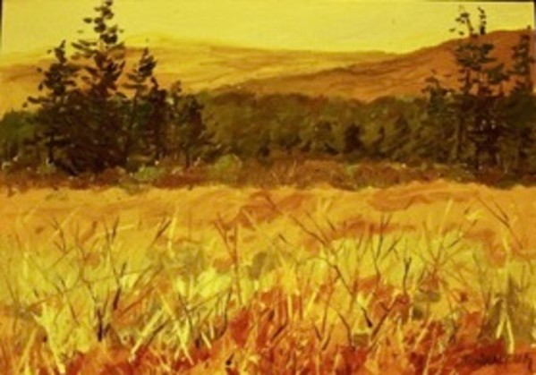 Dolly Sods Fields by Jim Walther