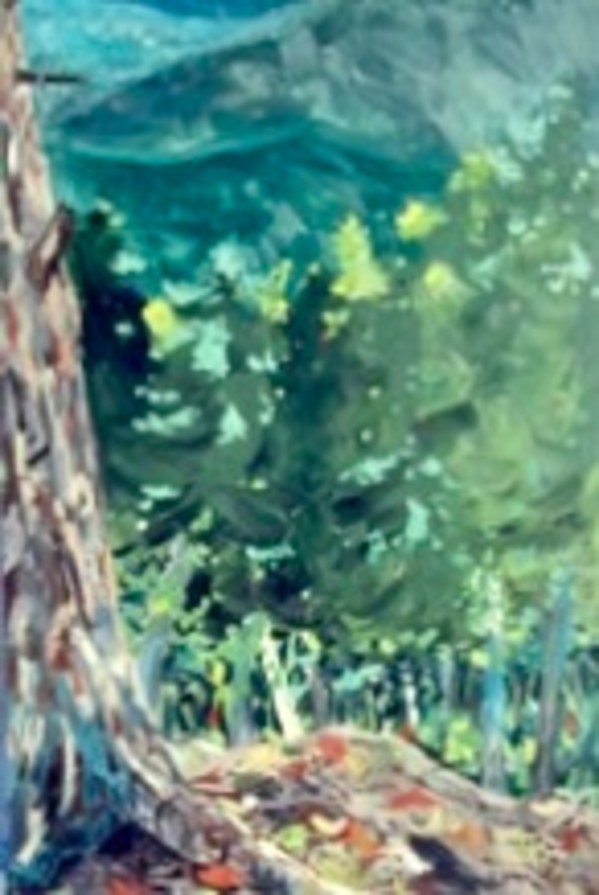 Cheat River Overlook by Jim Walther