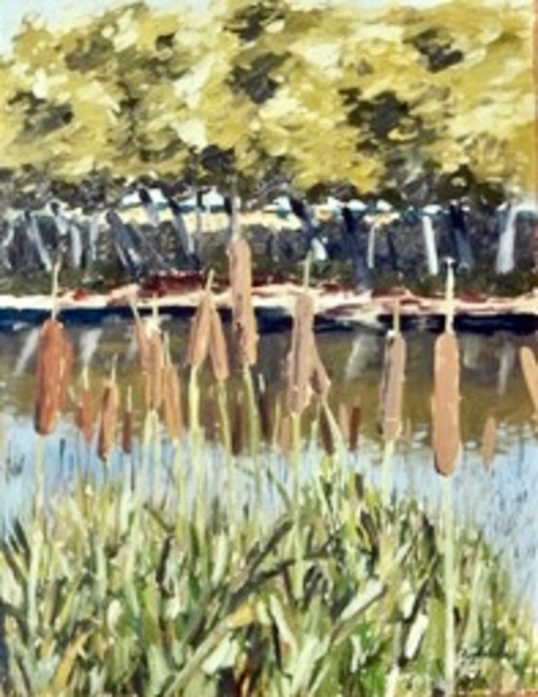 Cattails by Jim Walther