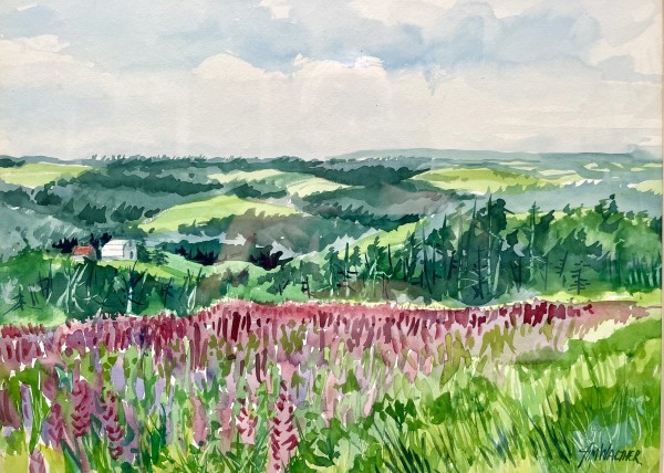 The Lupine Field by Jim Walther