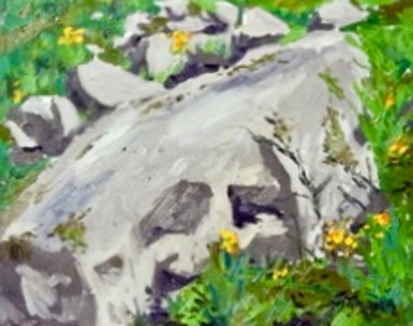 Rocks with Wildflowers by Jim Walther