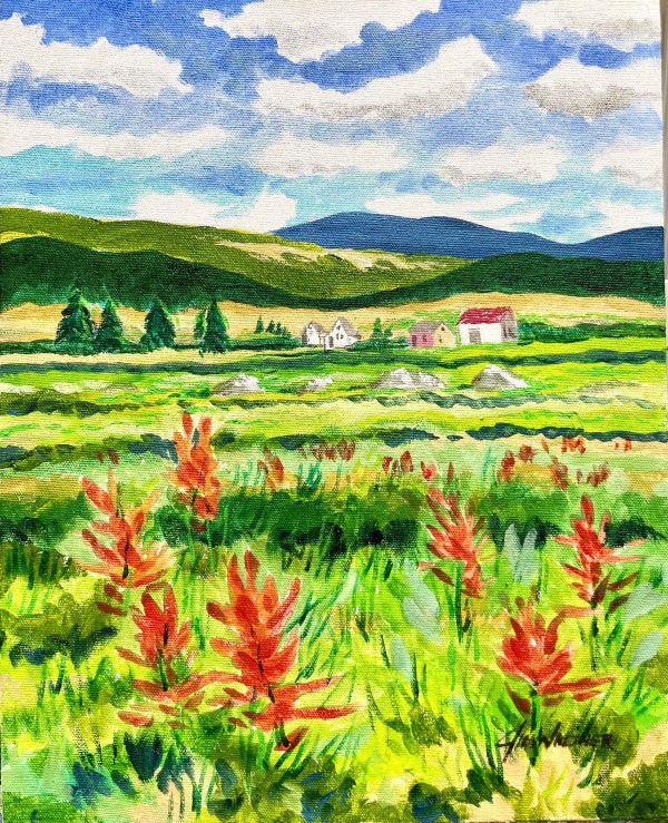 Indian Paintbrush at Guadalupita NM by Jim Walther