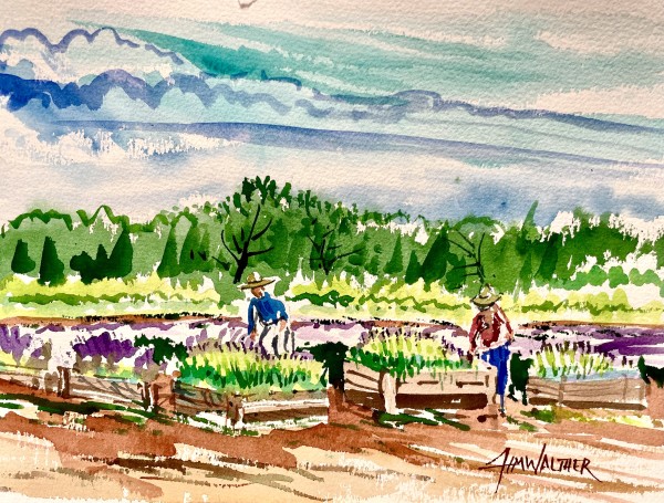 The Raised Beds by Jim Walther