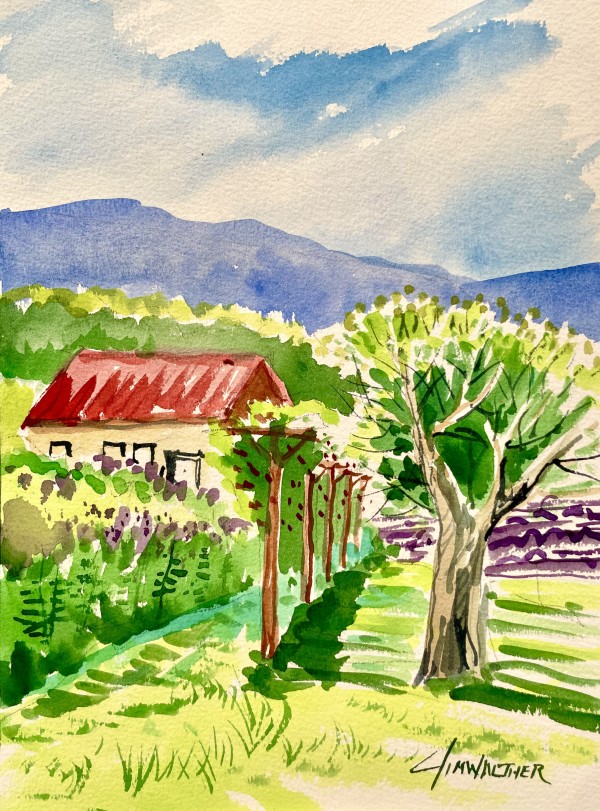 Vineyard view, Los Ranchos by Jim Walther