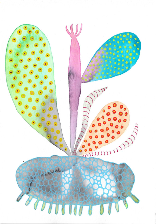 Weird Plant by kelly mccallum