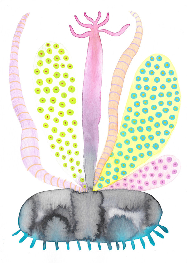 Weird Plant by kelly mccallum